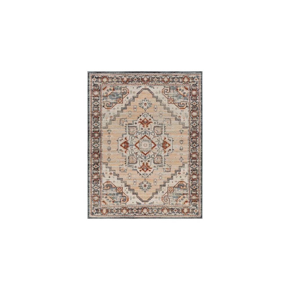 Surya Redondo Beach Rdd-2306 Rug 7'10" X 10'