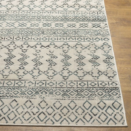 Surya Redondo Beach Rdd-2309 Rug 5'3" X 7'