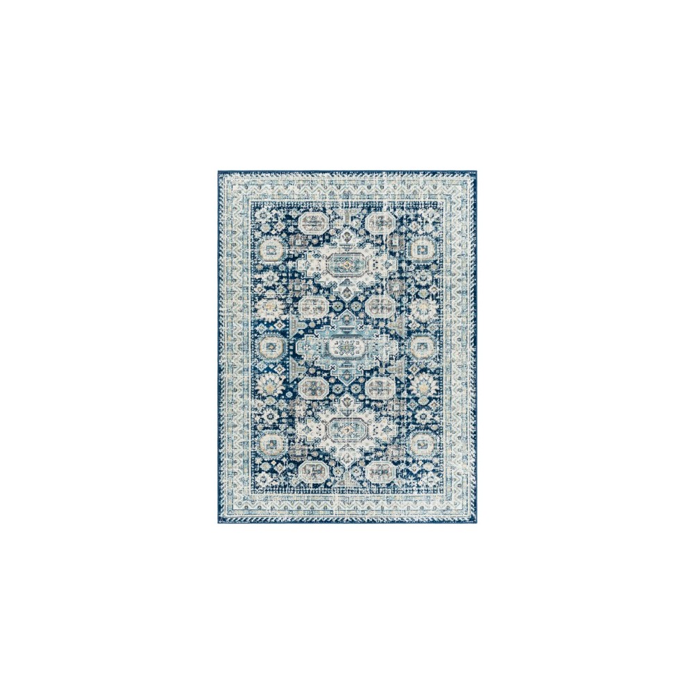 Surya Redondo Beach Rdd-2310 Rug 6'7" X 9' Surya Redondo Beach Rdd-2310 Rug 6'7" X 9'