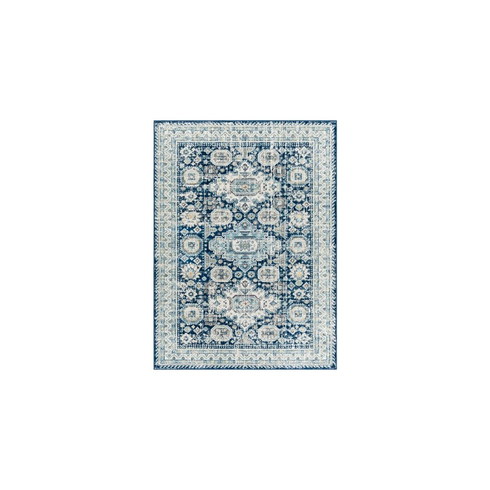 Surya Redondo Beach Rdd-2310 Rug 9' X 12'