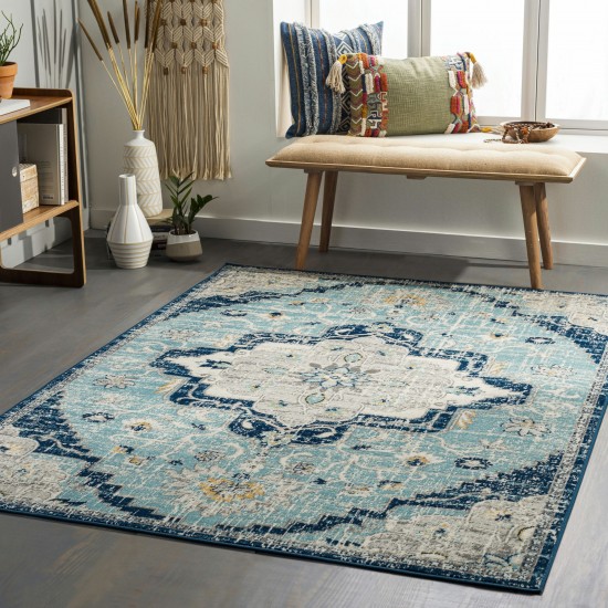 Surya Redondo Beach Rdd-2311 Rug 5'3" X 7'