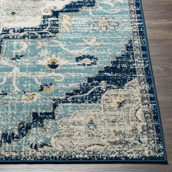 Surya Redondo Beach Rdd-2311 Rug 6'7" X 9'