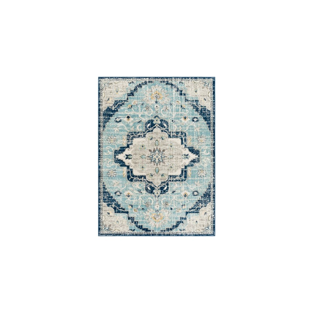 Surya Redondo Beach Rdd-2311 Rug 9' X 12' Surya Redondo Beach Rdd-2311 Rug 9' X 12'