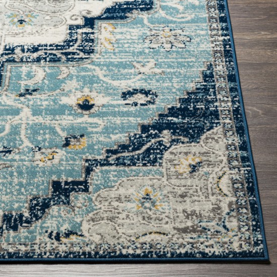 Surya Redondo Beach Rdd-2311 Rug 9' X 12'