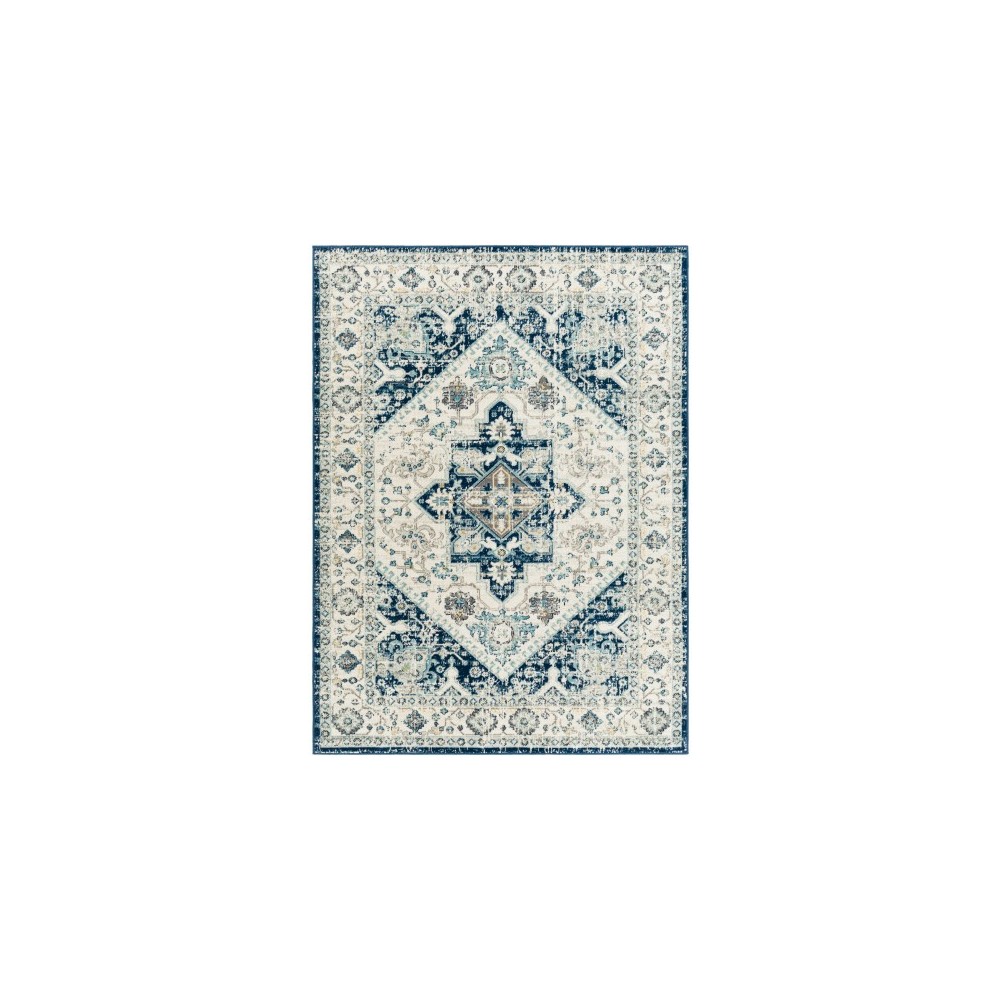 Surya Redondo Beach Rdd-2312 Rug 5'3" X 7'