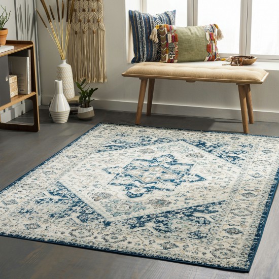 Surya Redondo Beach Rdd-2312 Rug 6'7" X 9'