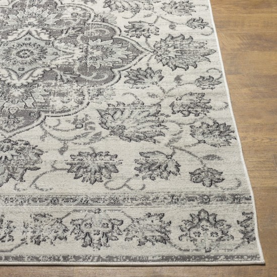 Surya Redondo Beach Rdd-2313 Rug 6'7" X 9'