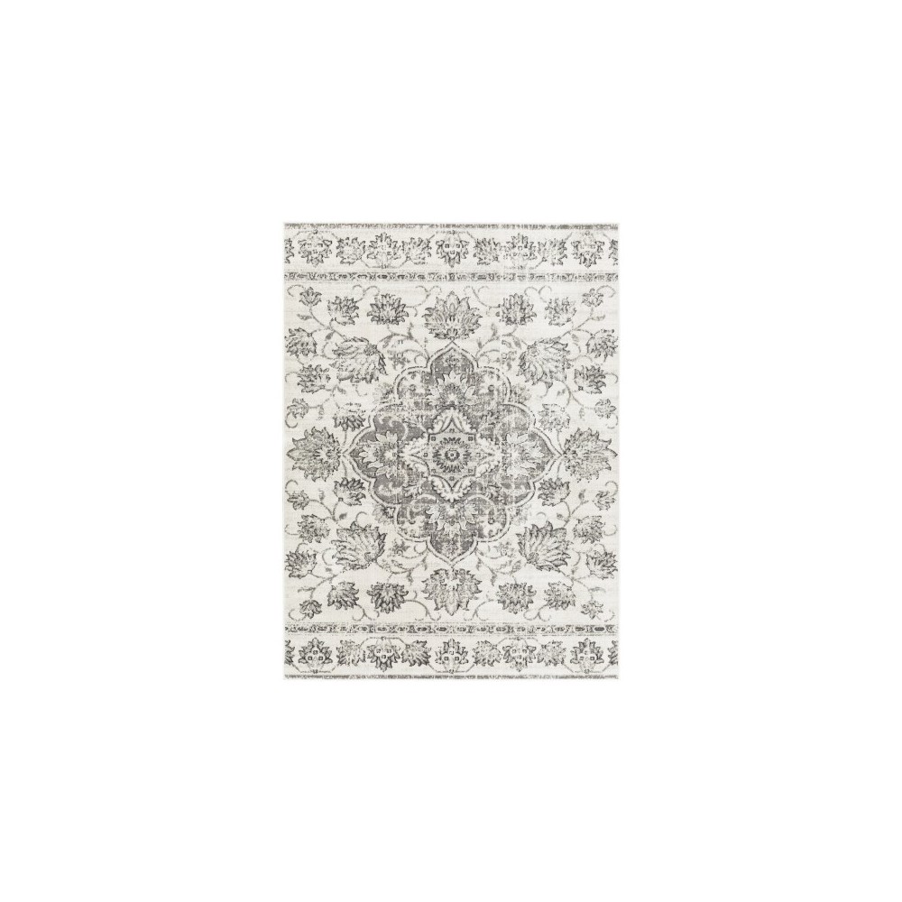 Surya Redondo Beach Rdd-2313 Rug 9' X 12'