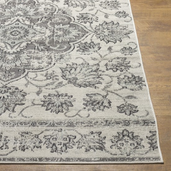 Surya Redondo Beach Rdd-2313 Rug 9' X 12'