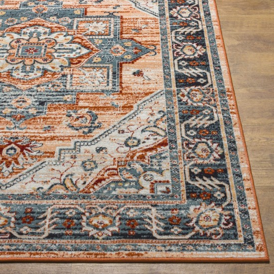 Surya Redondo Beach Rdd-2323 Rug 6'7" X 9'