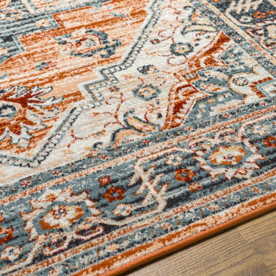 Surya Redondo Beach Rdd-2323 Rug 6'7" X 9'