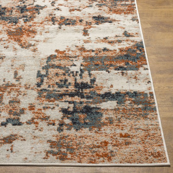 Surya Redondo Beach Rdd-2330 Rug 9' X 12'
