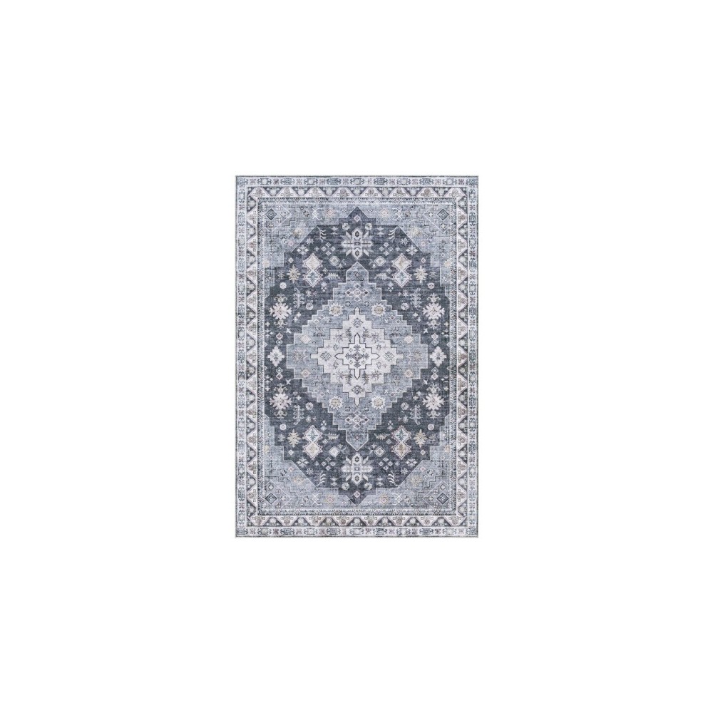 Surya Regen Black Rug 2' X 3'