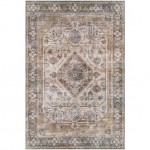 Surya Regen Medium Brown Rug 2' X 3'