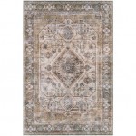 Surya Regen Medium Brown Rug 3' X 5'