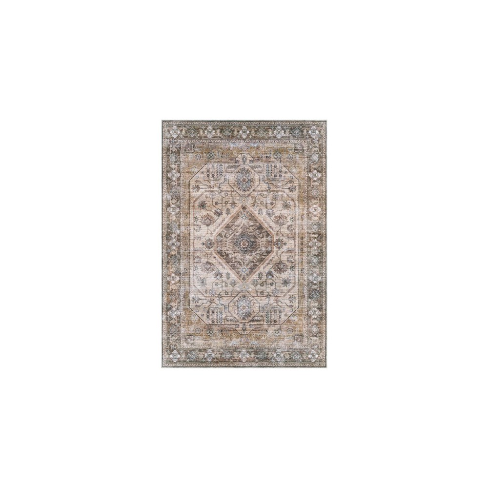 Surya Regen Medium Brown Rug 3' X 5'