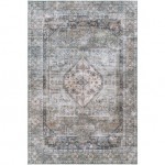 Surya Regen Pale Blue Rug 2' X 3'