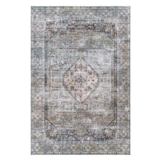 Surya Regen Pale Blue Rug 2' X 3'