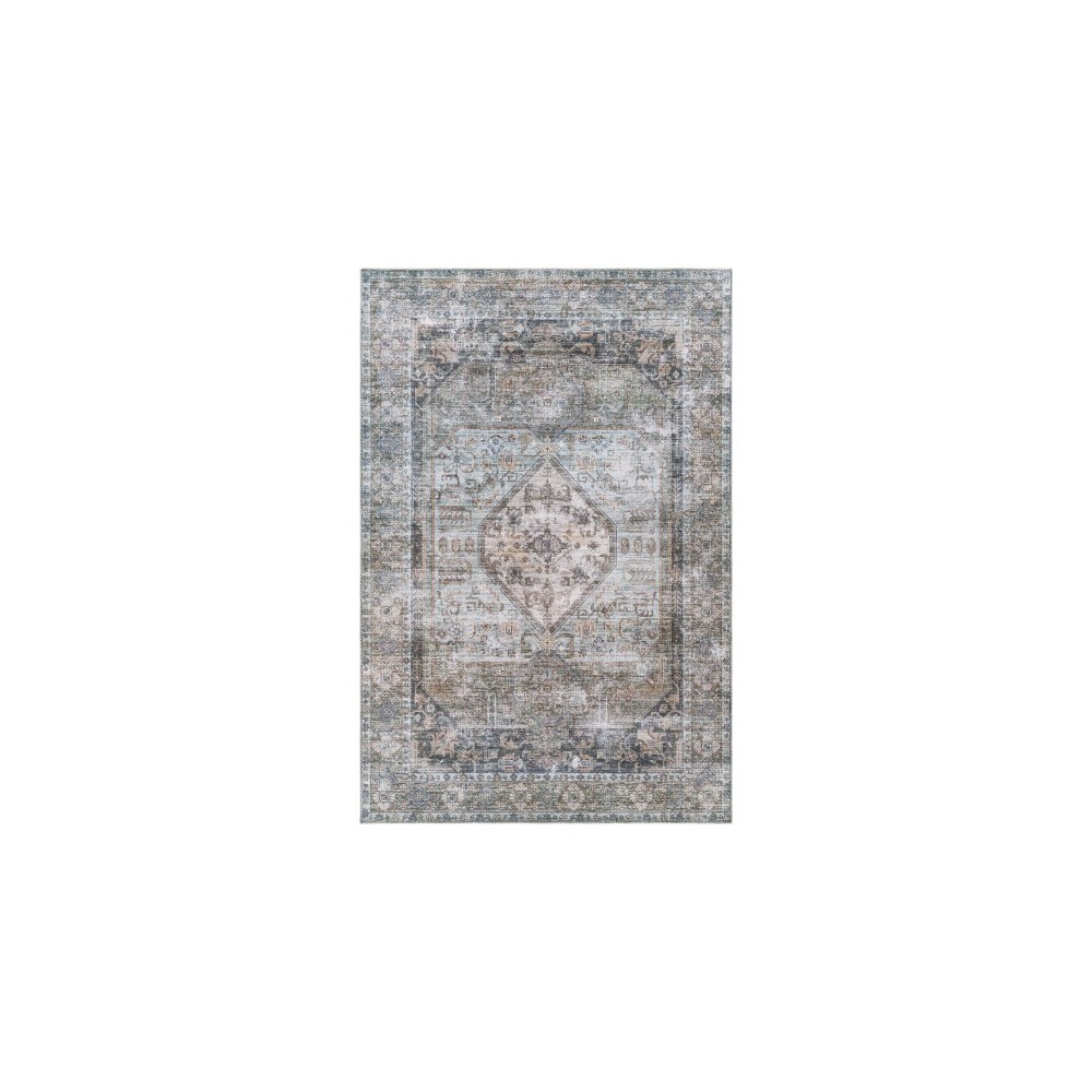 Surya Regen Pale Blue Rug 2' X 3'