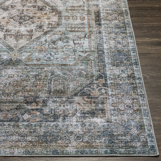 Surya Regen Pale Blue Rug 2' X 3'