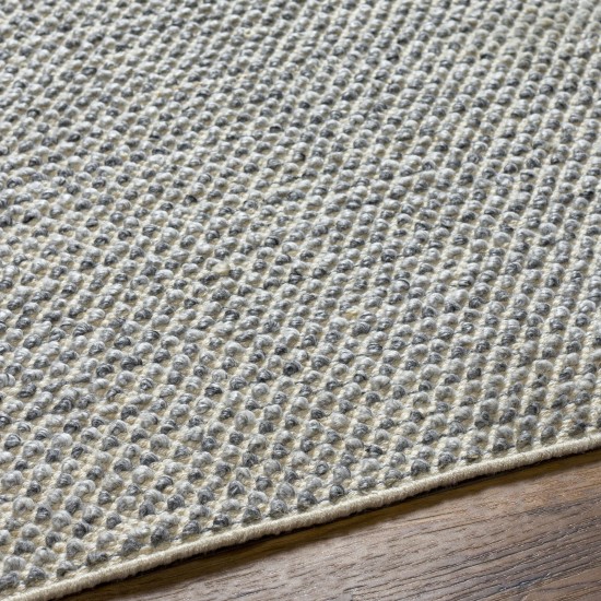 Surya Reika Rek-2304 Rug 2' X 3'