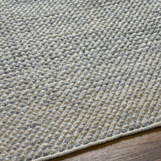 Surya Reika Rek-2306 Rug 2'6" X 8'