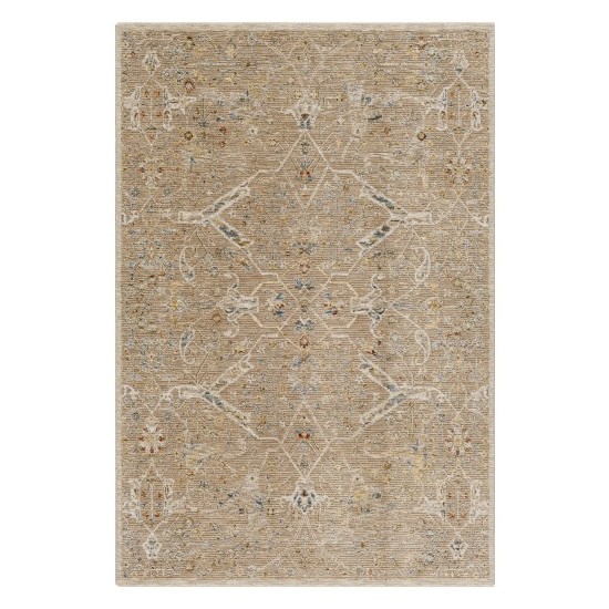 Surya Reina Light Brown Rug 10' X 14'