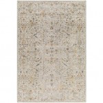 Surya Reina Ren-2302 Light Gray Rug 2' X 3'