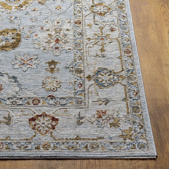 Surya Reina Ren-2306 Light Gray Rug 6'7" X 9'6"