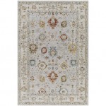 Surya Reina Ren-2307 Light Gray Rug 10' X 14'