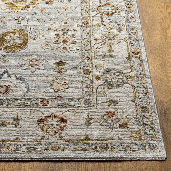 Surya Reina Ren-2307 Light Gray Rug 2' X 3'