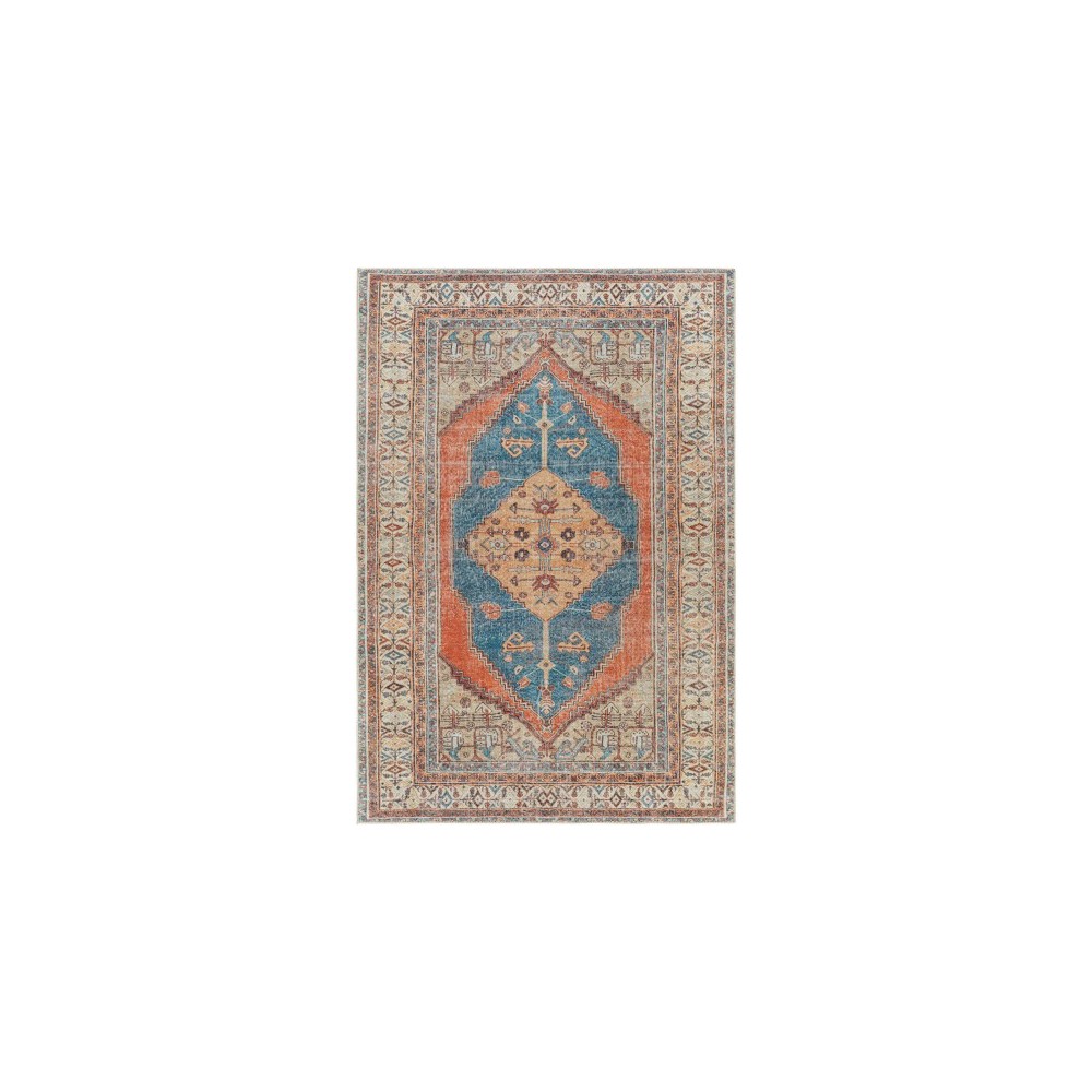 Surya Tahmis Thi-2704 Burnt Orange Rug 6'7" X 9'