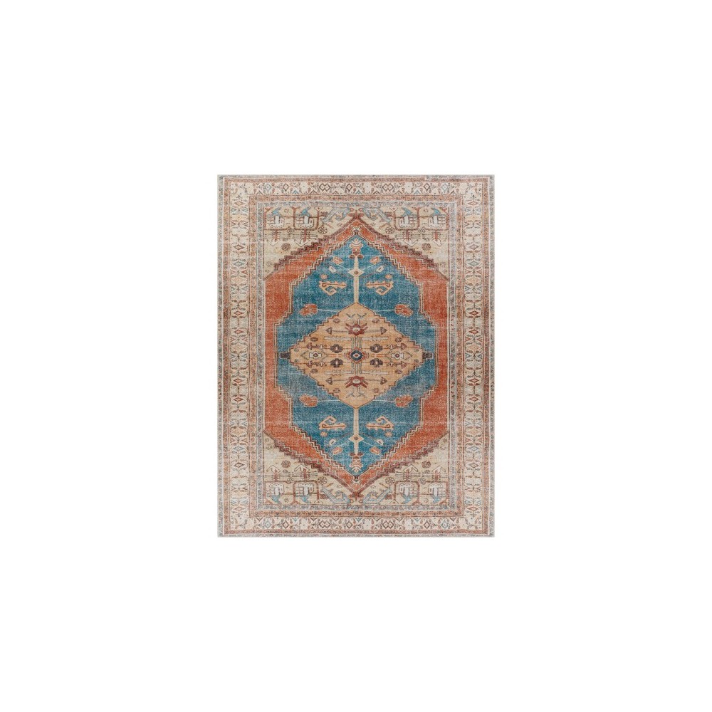 Surya Tahmis Thi-2704 Burnt Orange Rug 7'10" X 10'2"