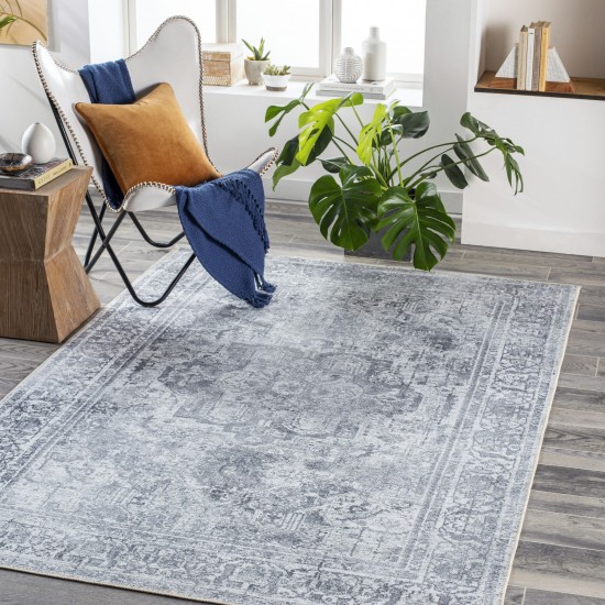 Surya Tahmis Thi-2710 Light Gray Rug 2' X 2'11"