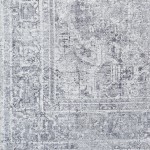 Surya Tahmis Thi-2710 Light Gray Rug 2' X 2'11"