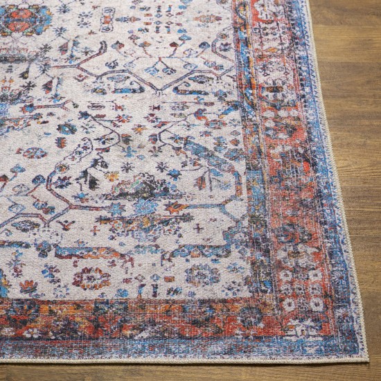 Surya Tahmis Thi-2713 Burnt Orange Rug 8'10" X 12'