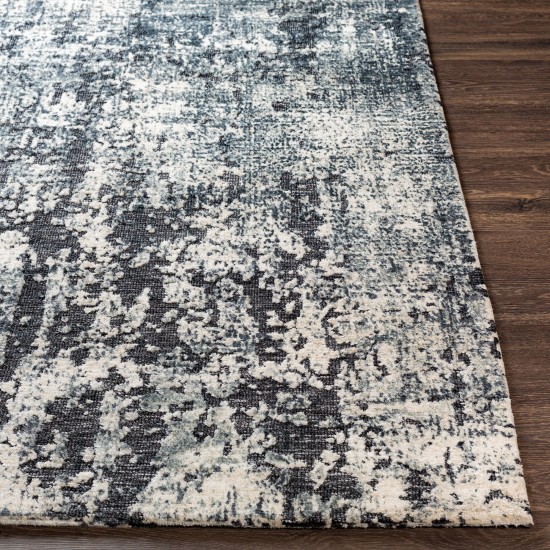 Surya Talise Tle-1008 Charcoal Rug 2' X 3'