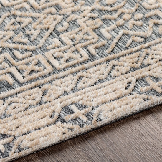 Surya Talise Navy Rug 2' X 3'