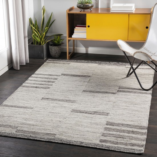 Surya Tamaris Light Gray Rug 2' X 3'