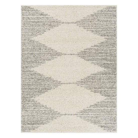 Surya Taza Shag Tzs-2310 Cream Rug 5'2" X 7'