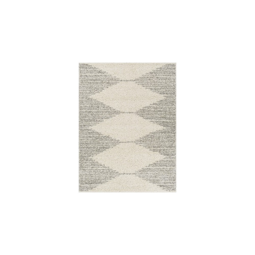 Surya Taza Shag Tzs-2310 Cream Rug 5'2" X 7'