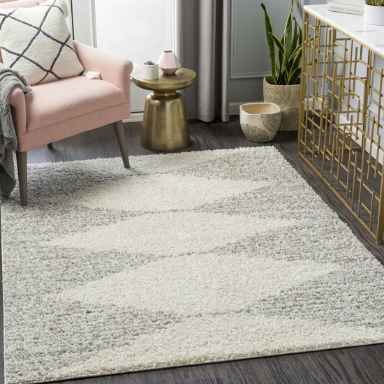 Surya Taza Shag Tzs-2310 Cream Rug 5'2" X 7'