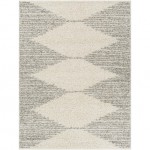 Surya Taza Shag Tzs-2310 Cream Rug 6'7" X 9'