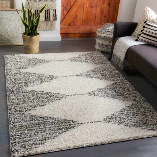 Surya Taza Shag Tzs-2311 Rug 5'2" X 7'