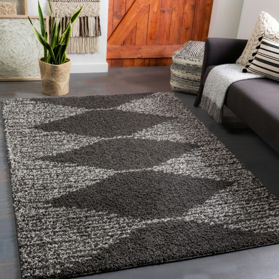 Surya Taza Shag Tzs-2312 Rug 5'2" X 7'