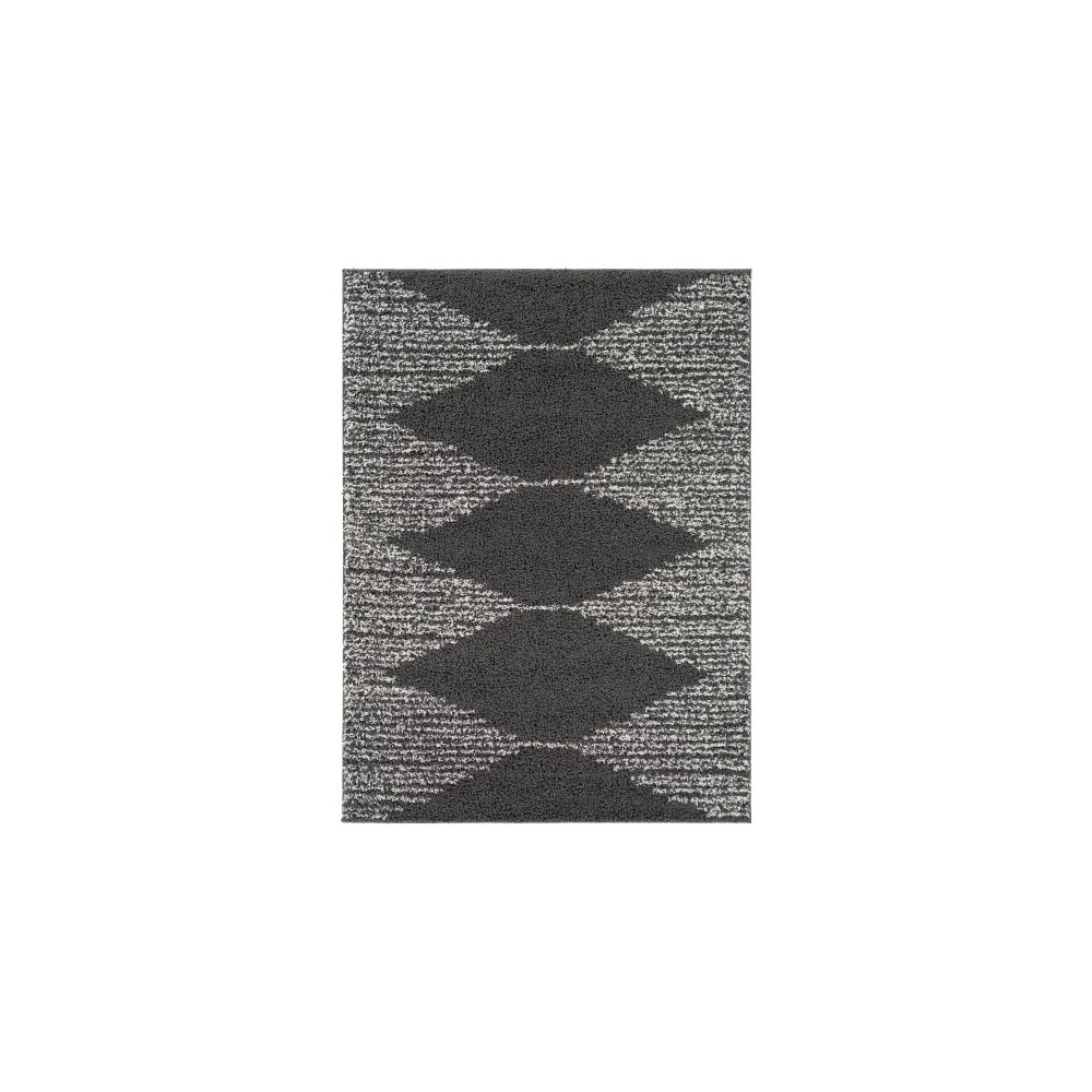 Surya Taza Shag Tzs-2312 Rug 6'7" X 9'