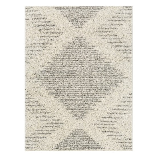 Surya Taza Shag Tzs-2331 Cream Rug 5'2" X 7'