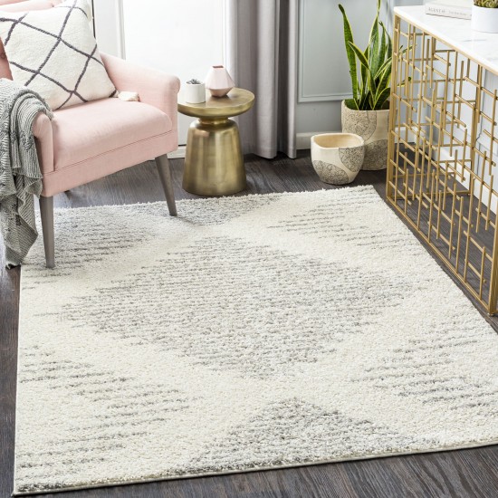 Surya Taza Shag Tzs-2331 Cream Rug 5'2" X 7'