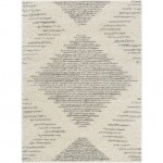 Surya Taza Shag Tzs-2331 Cream Rug 6\'7" X 9\'