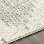 Surya Taza Shag Tzs-2331 Cream Rug 6'7" X 9'